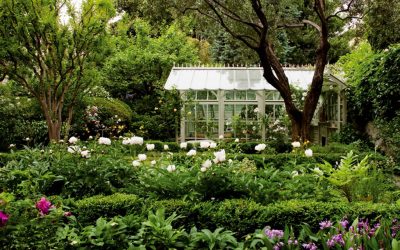 PRIVATE GARDEN IN THE CITY