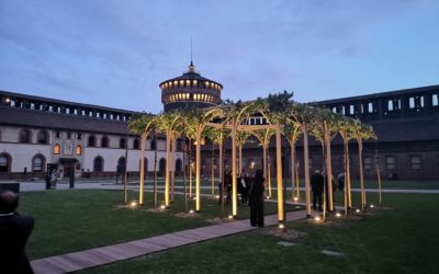 A PERGOLA OF MULBERRY TREES AT THE SFORZESCO CASTLE